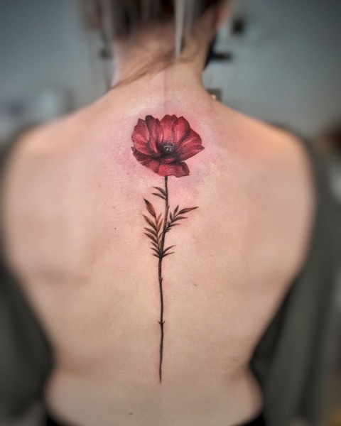 Colour realism red poppy spine tattoo by Klaudia at Silent Moon, our private tattoo studio in Bermondsey, South East London.