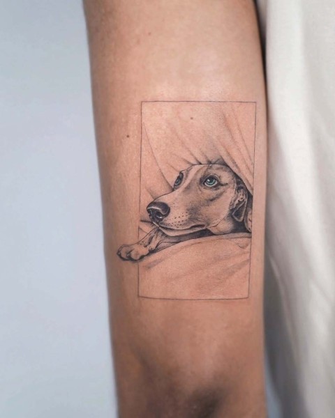 Micro-realism dog portrait tattoo by Klaudia at Silent Moon, our private tattoo studio in Bermondsey, South East London.