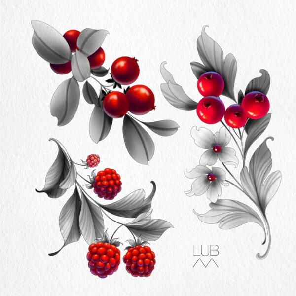 386253690_18294828763135884_2289720908326259856_n