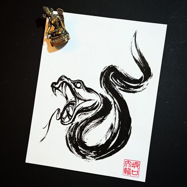 469486829_18473427682008843_4268621922627315143_n