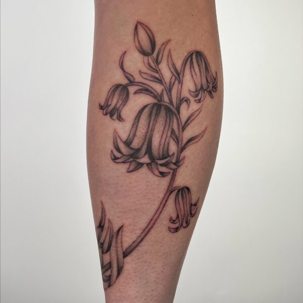 572235658_18537543571008843_3804302166958769074_n